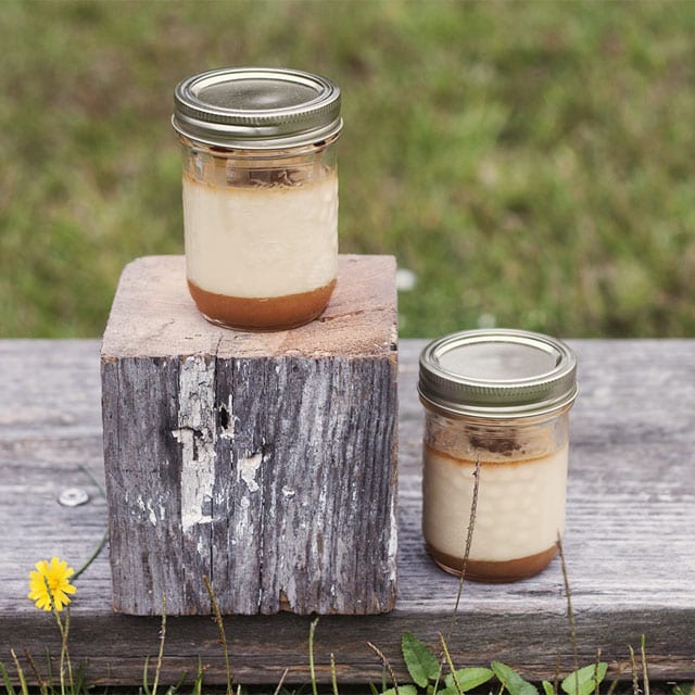 Flan Jars Caramel Pudding 