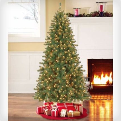Pencil Pine Slim Pre-Lit Tree with Clear Lights