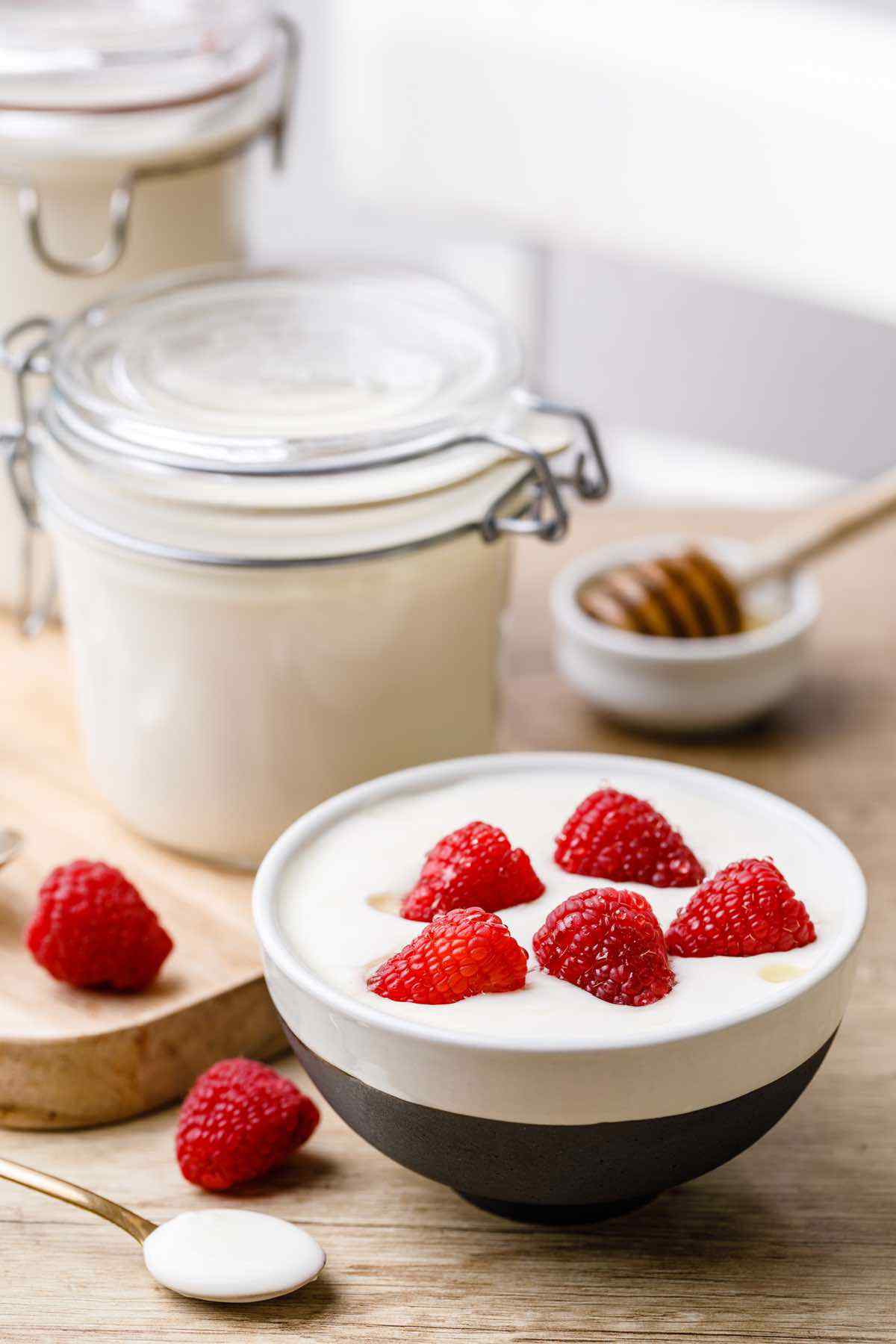 Instant Pot Vanilla Yogurt - Weekend Craft