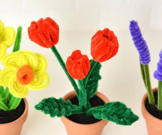 Pipe Cleaner Flowers
